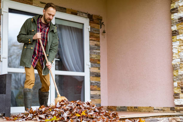 Best Trash Removal Near Me  in Apache Junction, AZ