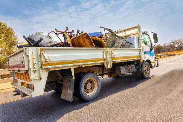 Best Yard Cleanup Services  in Apache Junction, AZ